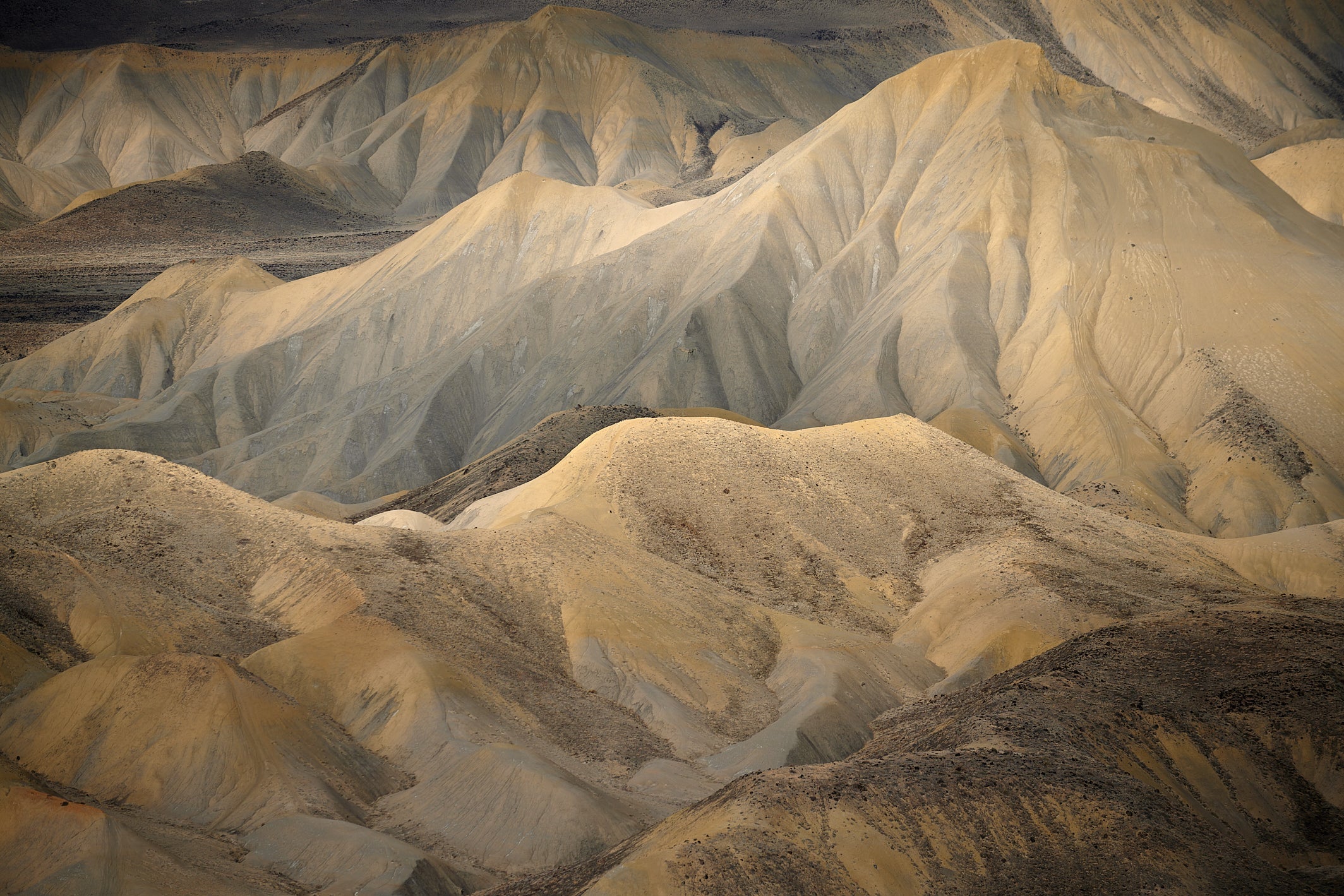 Colorado Wildlands Project