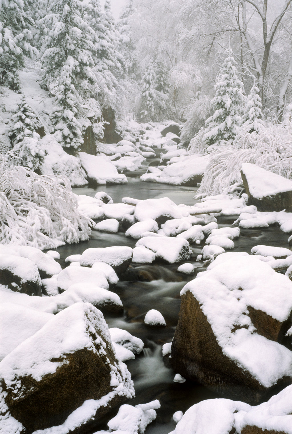 South Saint Vrain in Snow image 0
