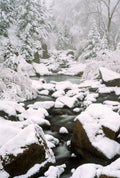 South Saint Vrain in Snow image 0
