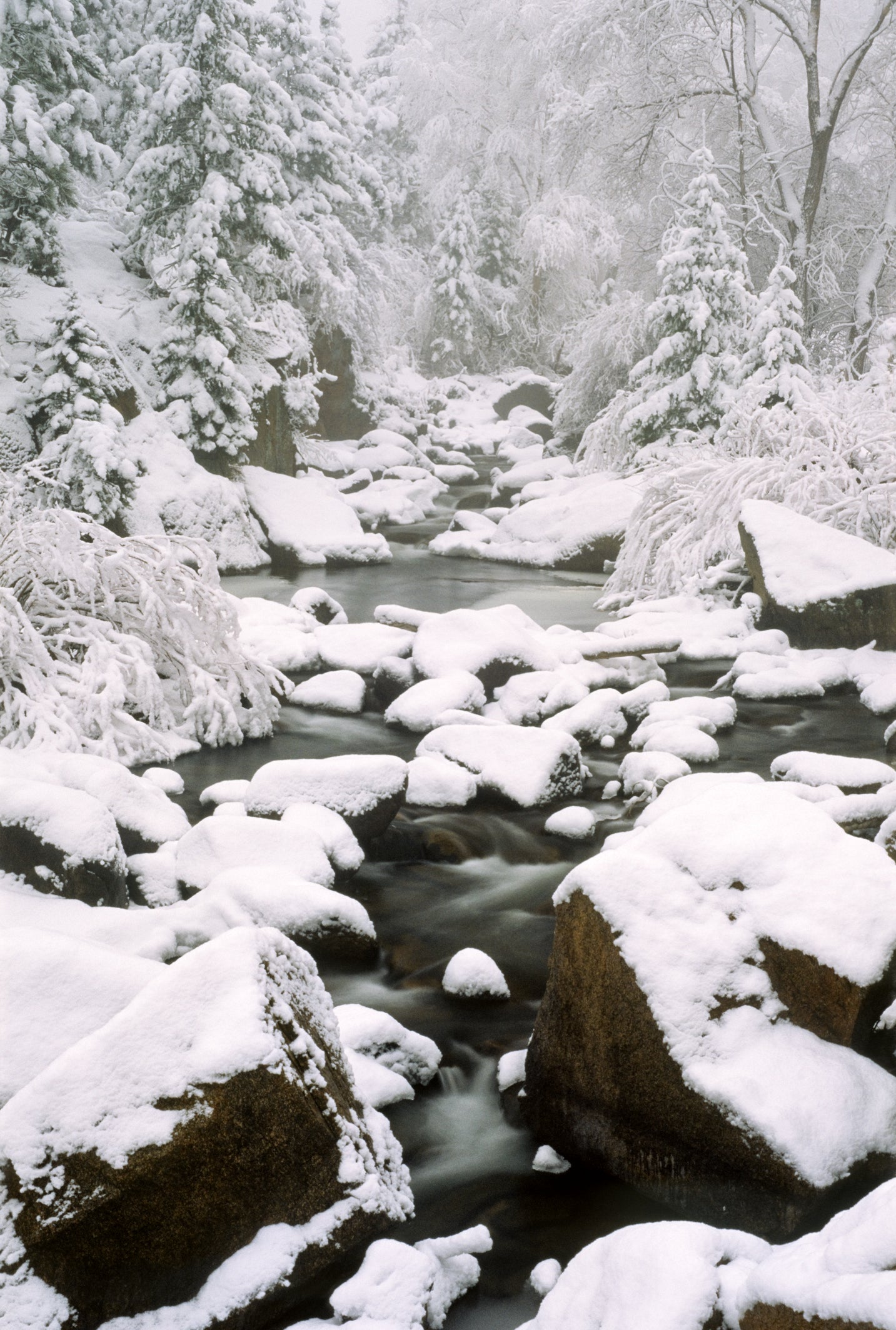 South Saint Vrain in Snow image 0