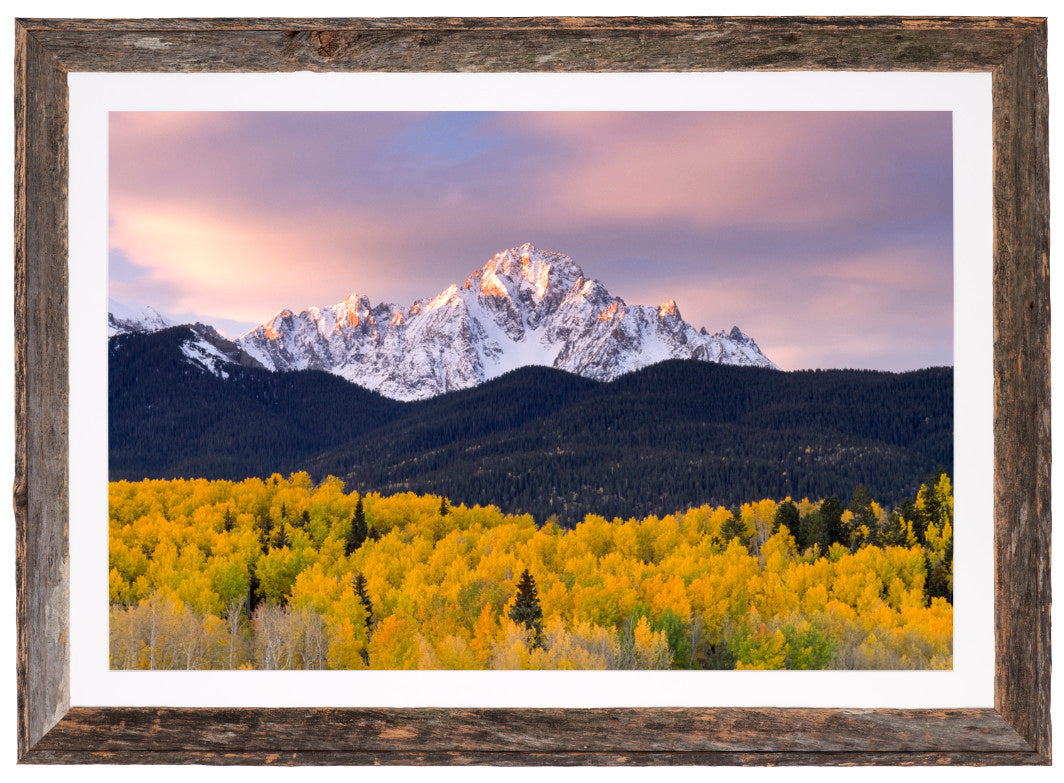 Layers of Autumn image 1