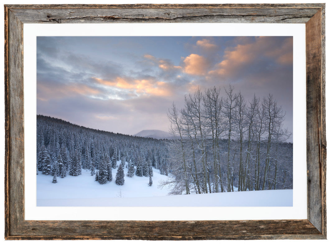 Winter Dawn along Spraddle Creek image 1