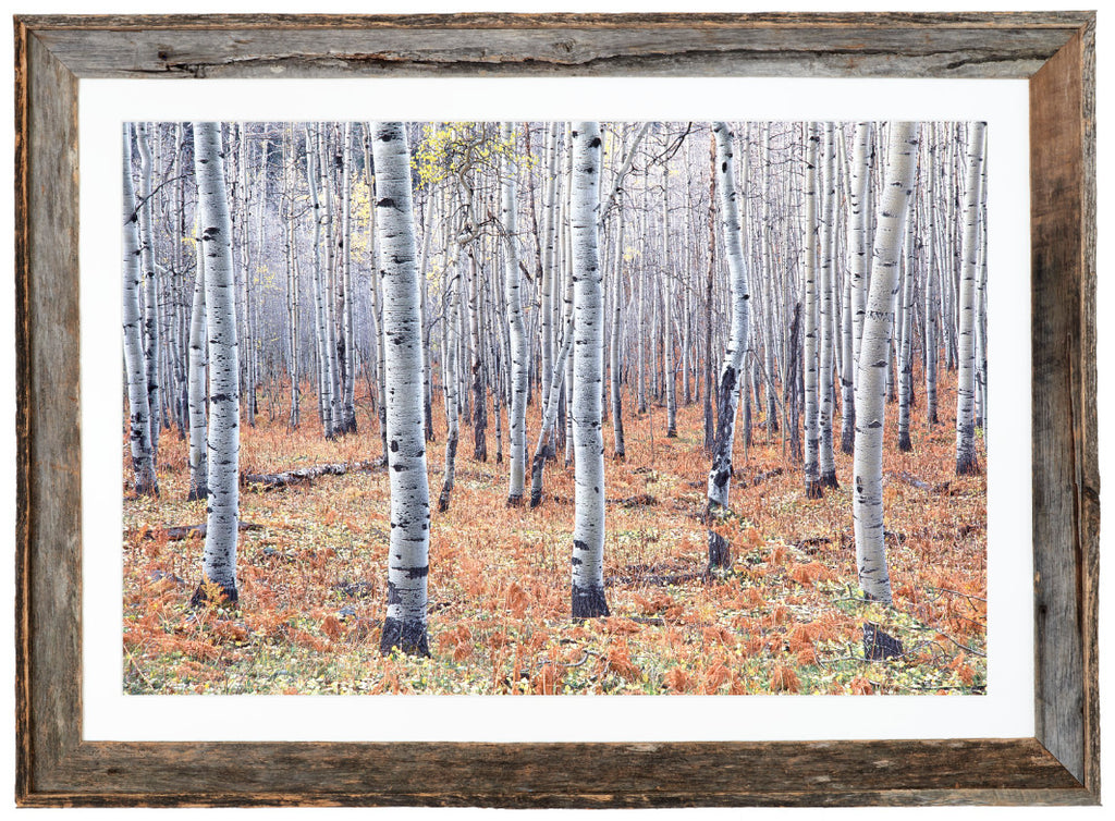 Last Hour of Autumn image 1