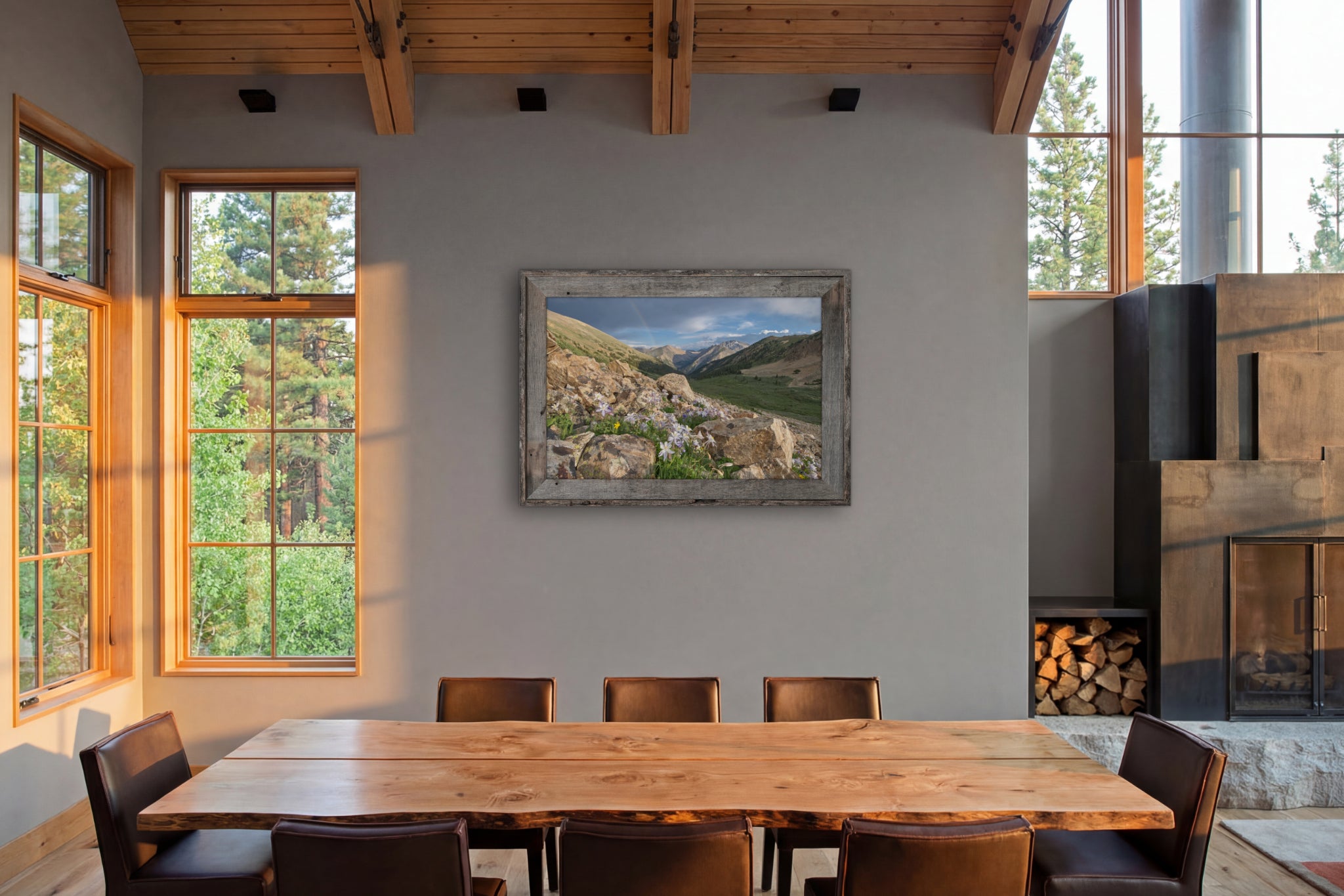 Columbine in the Sawatch Range II