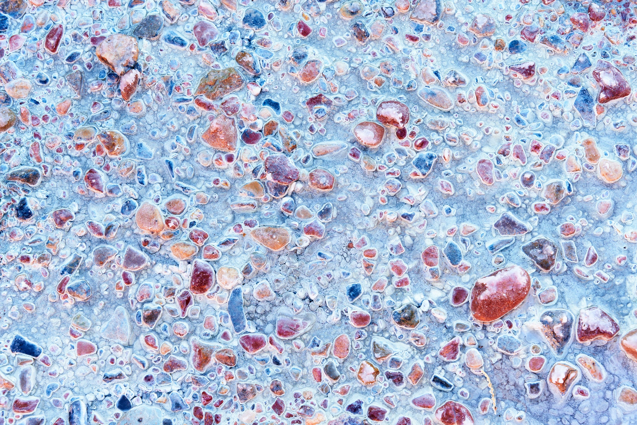 Salt Creek Study III image 0