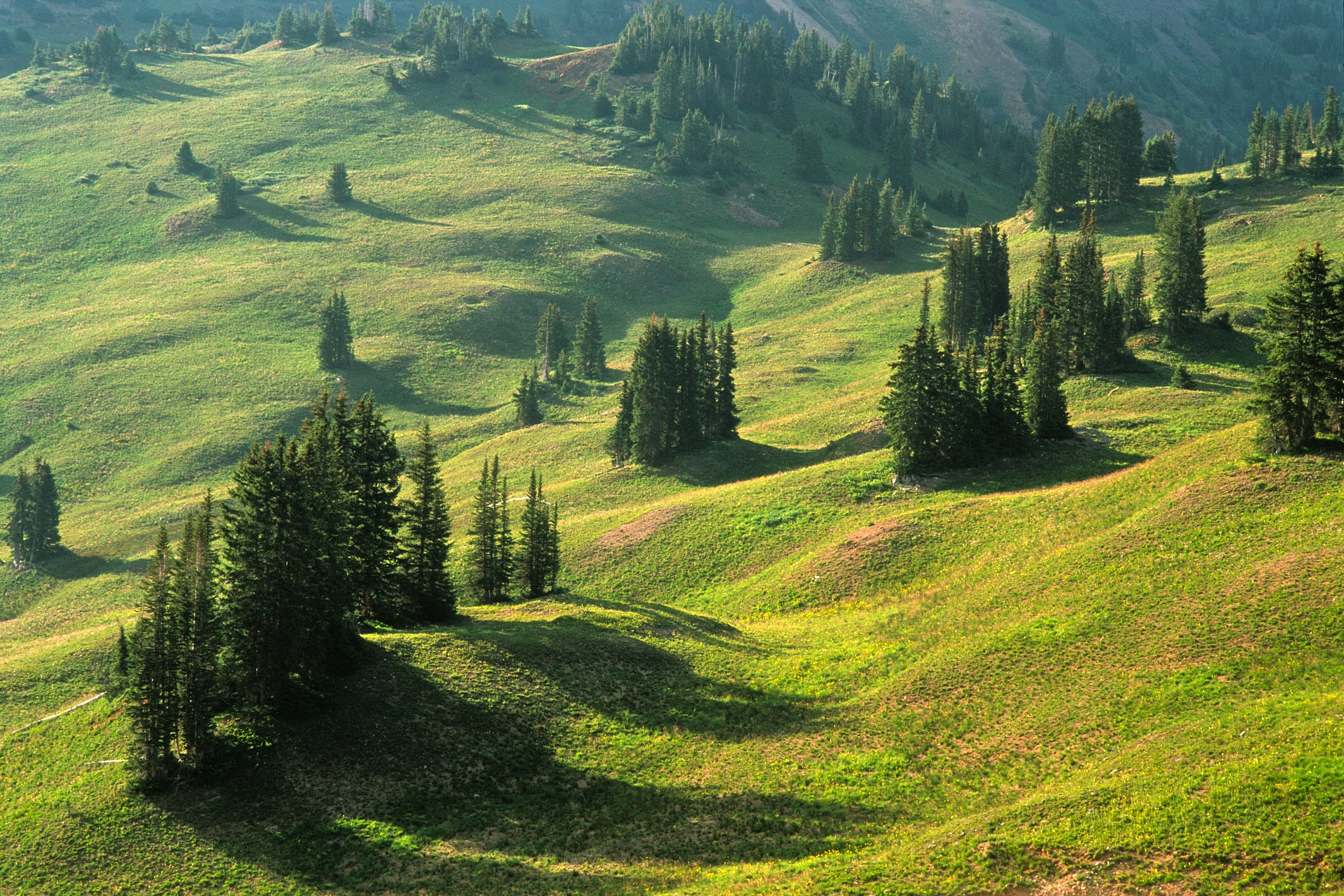 Paradise Divide II image 0