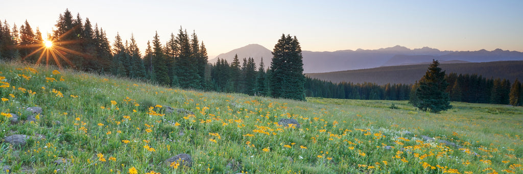 Sunrise on Twin Peaks image 0