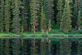 Wheeler Lakes image 0