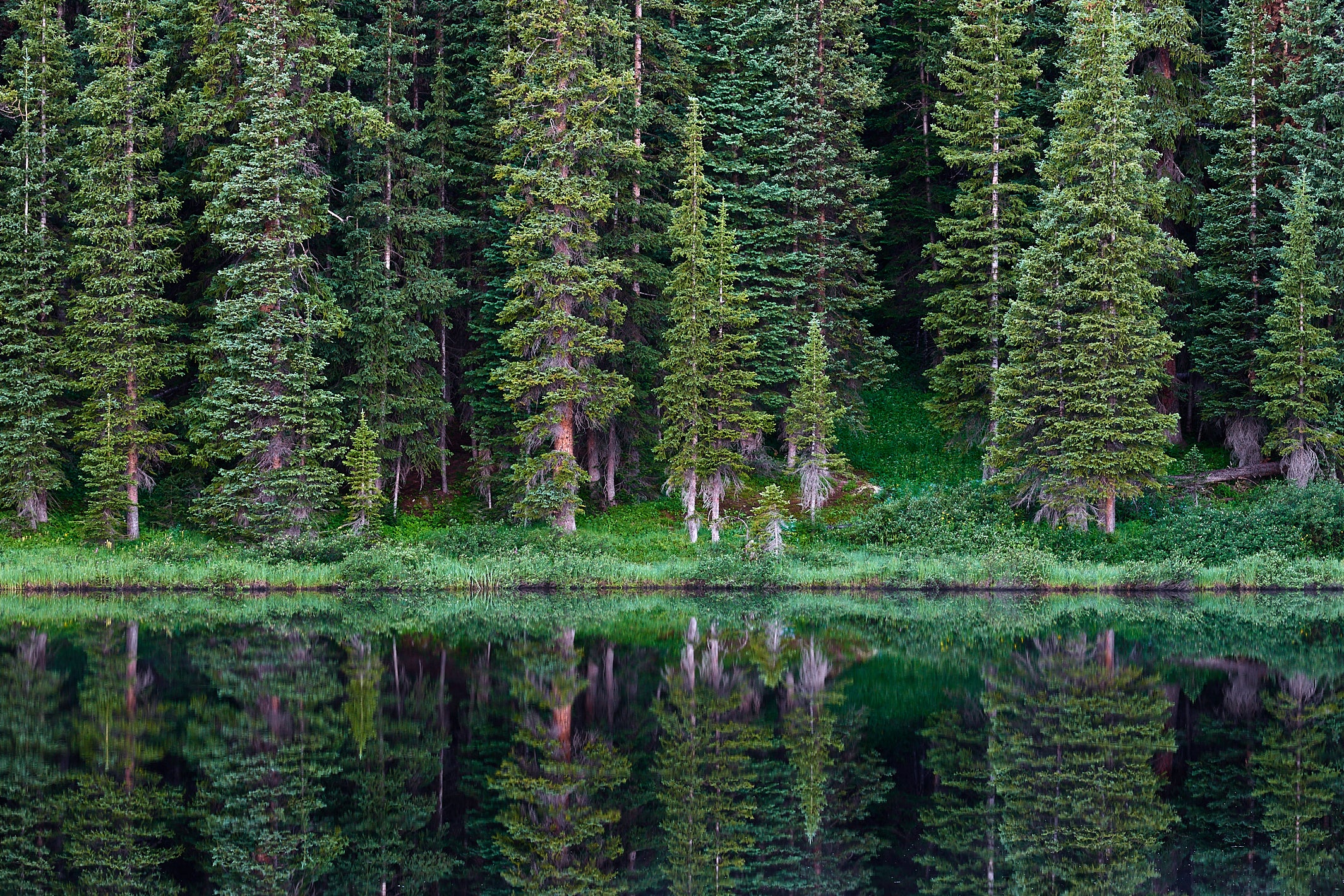 Wheeler Lakes image 0