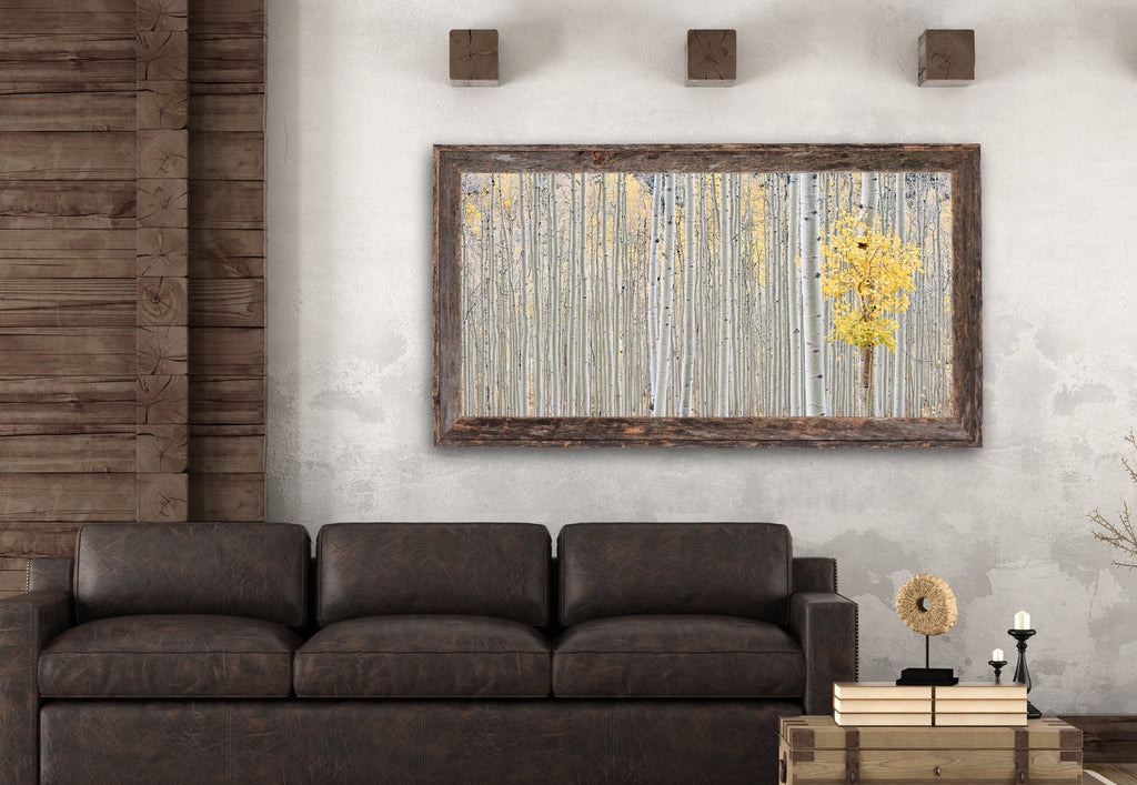 Aspen Grove, Thompson Divide image 2