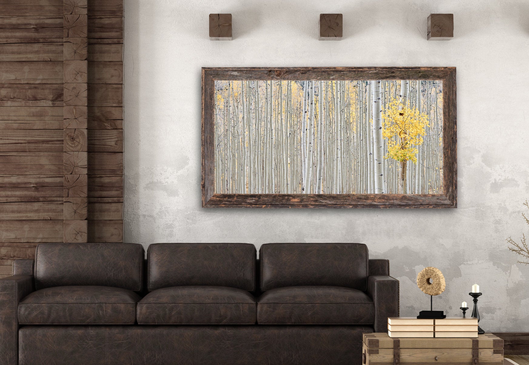 Aspen Grove, Thompson Divide image 2