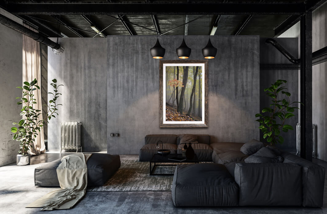 Maple In Mist image 1