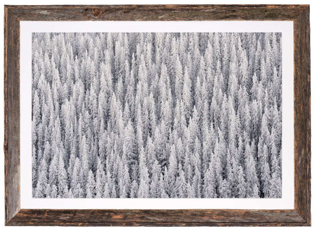 Winter's Blanket image 1