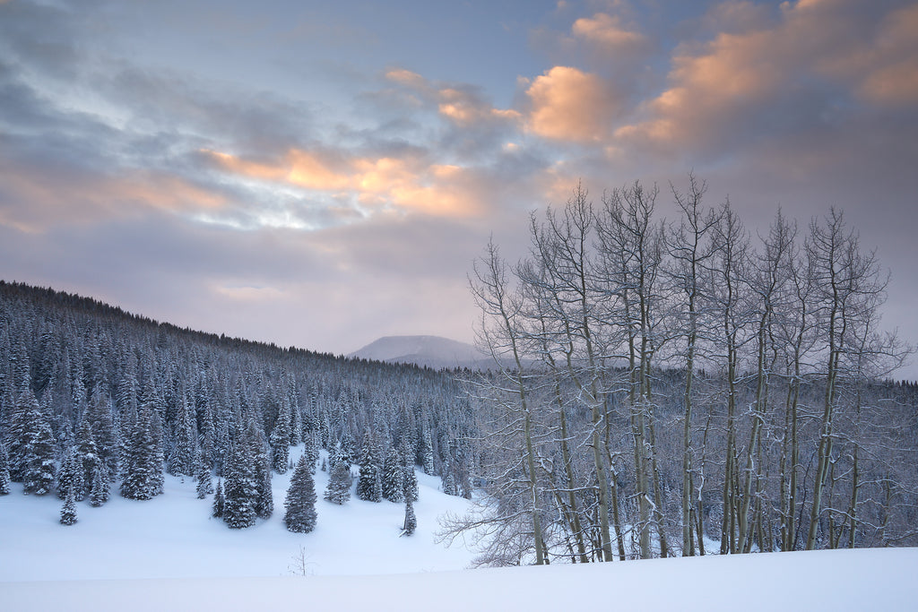 Winter Dawn along Spraddle Creek image 0