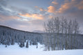 Winter Dawn along Spraddle Creek image 0