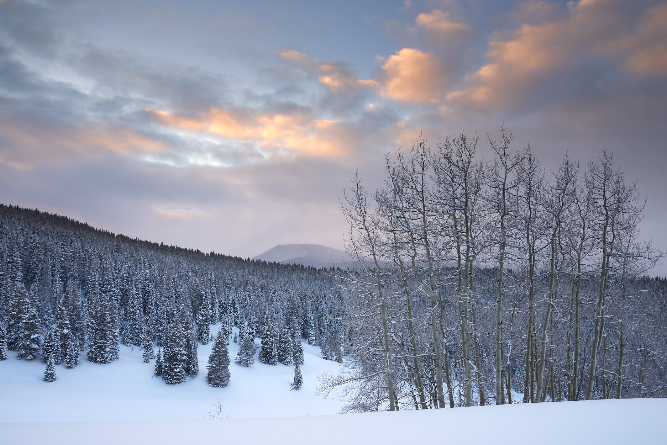 Winter Dawn along Spraddle Creek image 0