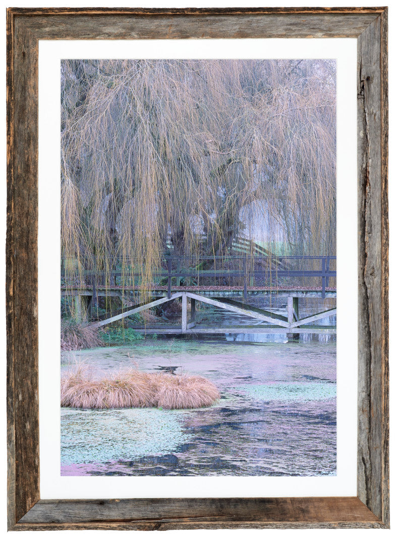 Nisqually River Valley image 1