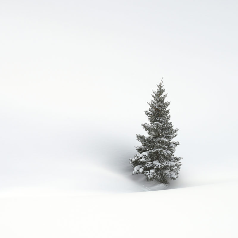 Isolation