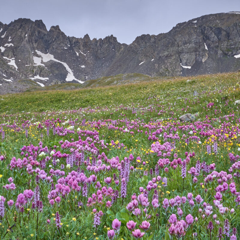 Tenmile Tapestry