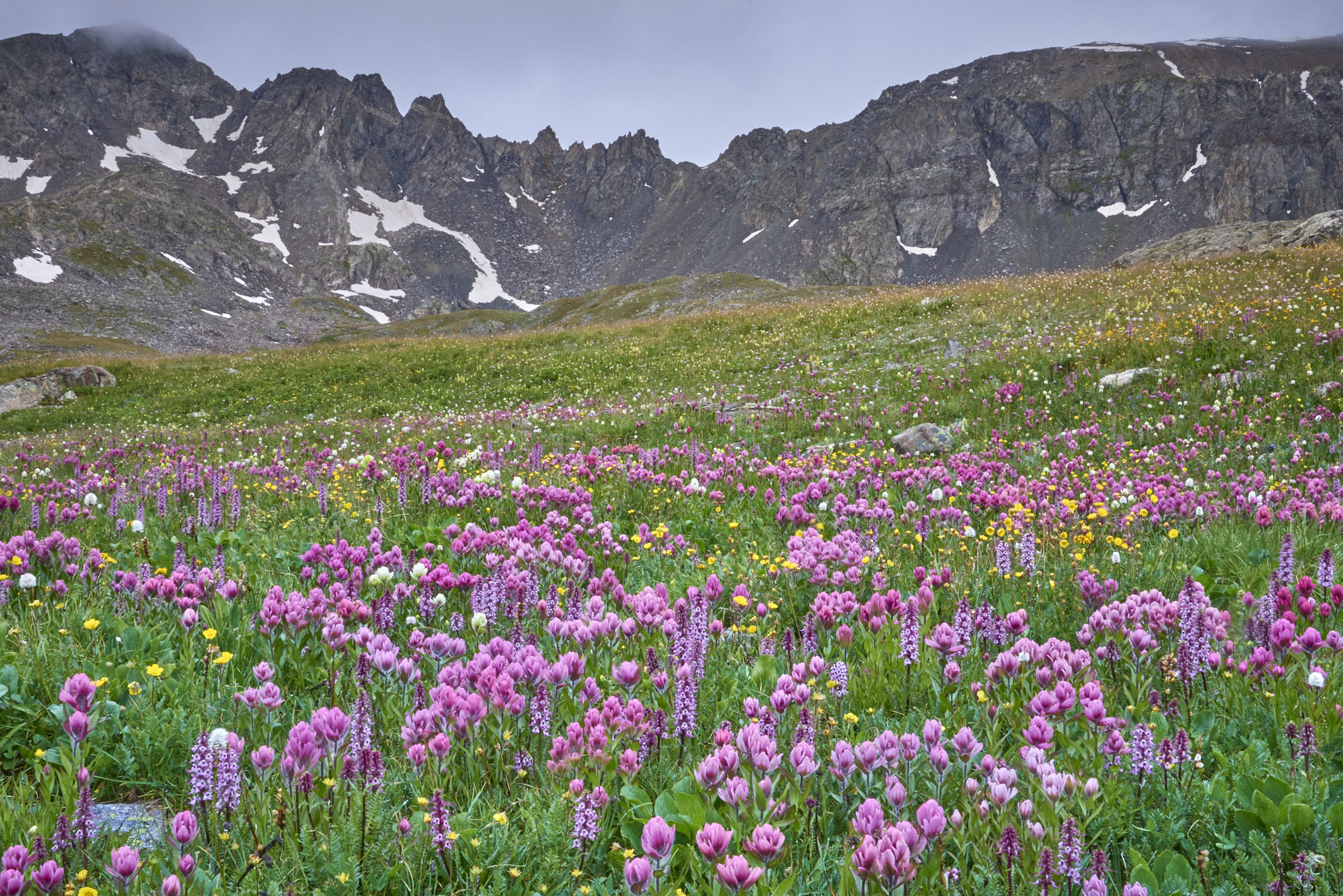 Tenmile Tapestry