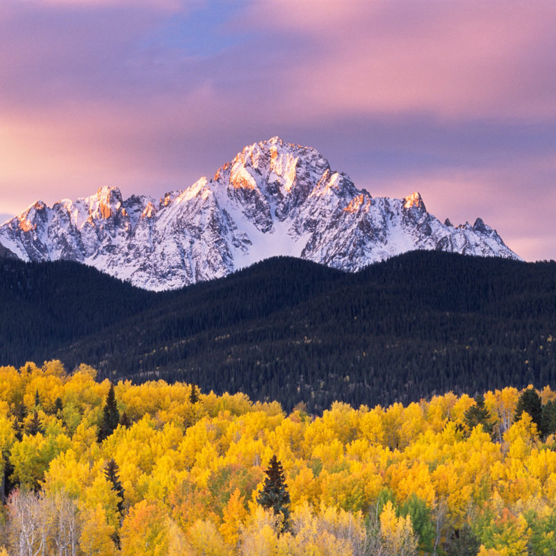 Layers of Autumn