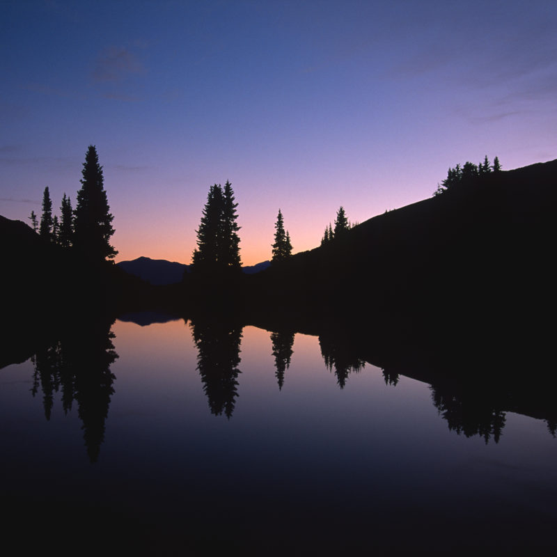 Paradise Divide