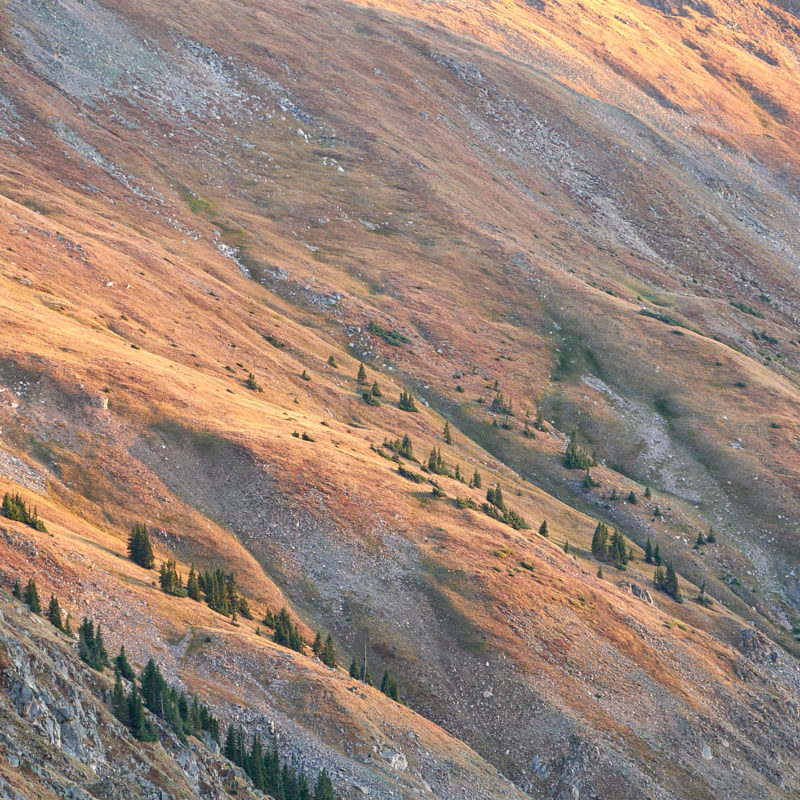 Porcupine Gulch