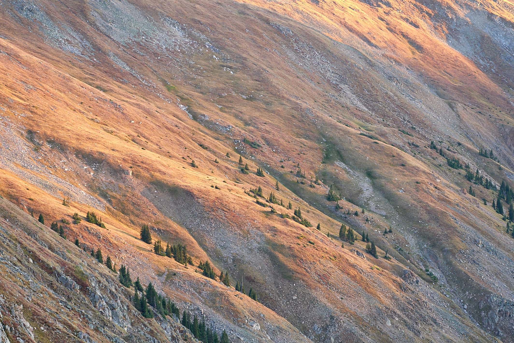 Porcupine Gulch