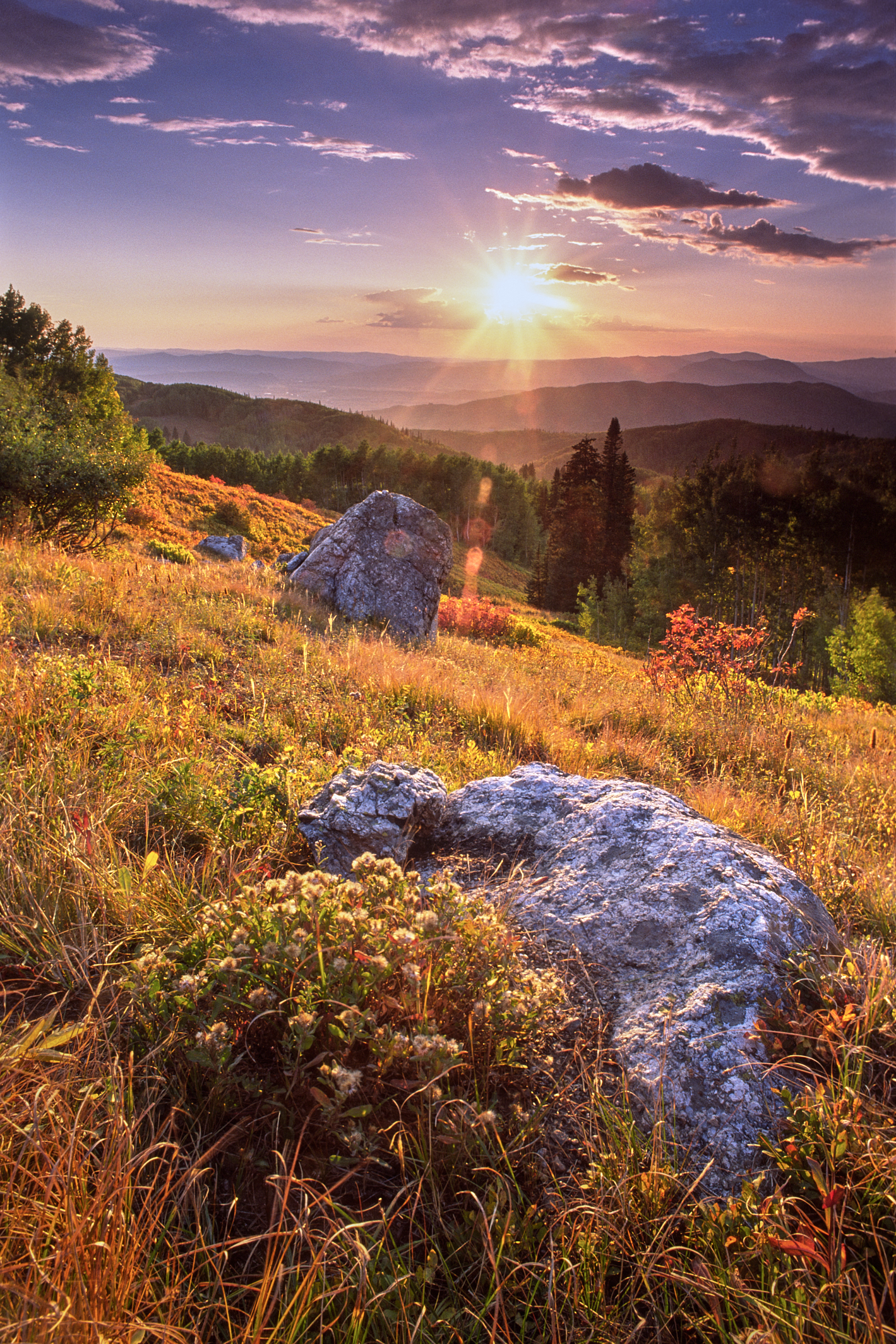 Steamboat Sunset