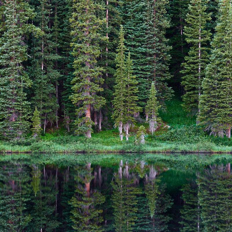 Wheeler Lakes