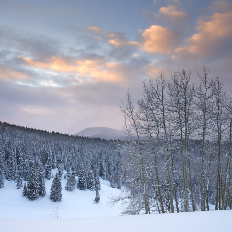 Winter Dawn along Spraddle Creek