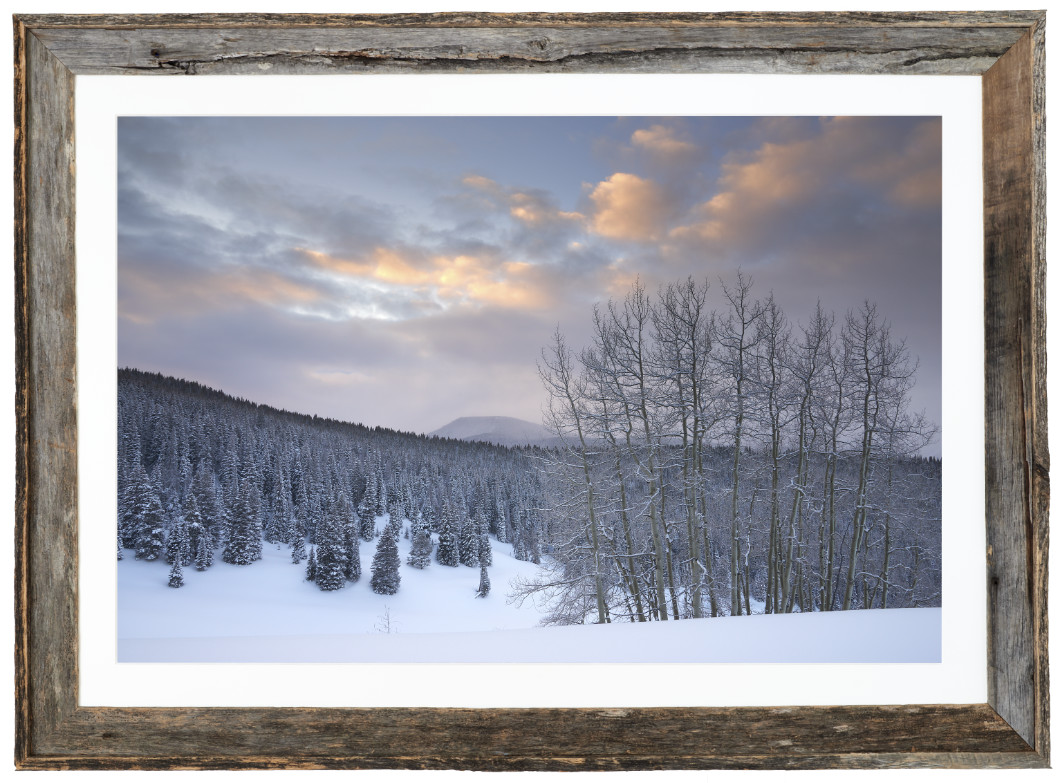 Winter Dawn along Spraddle Creek