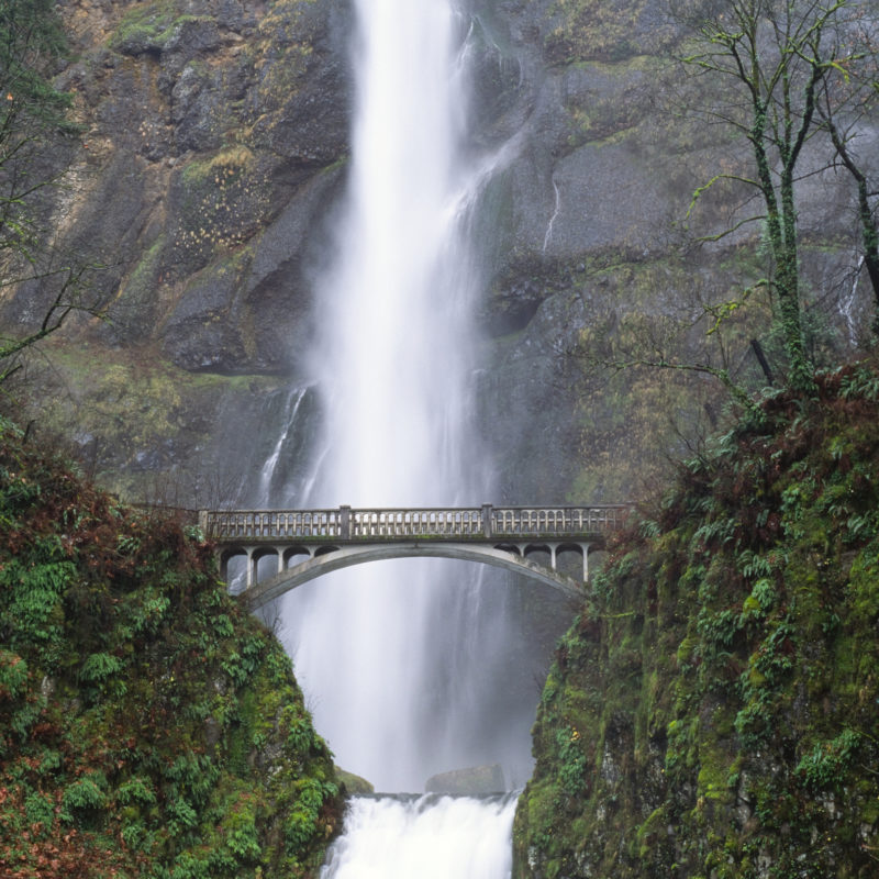 Multnomah I