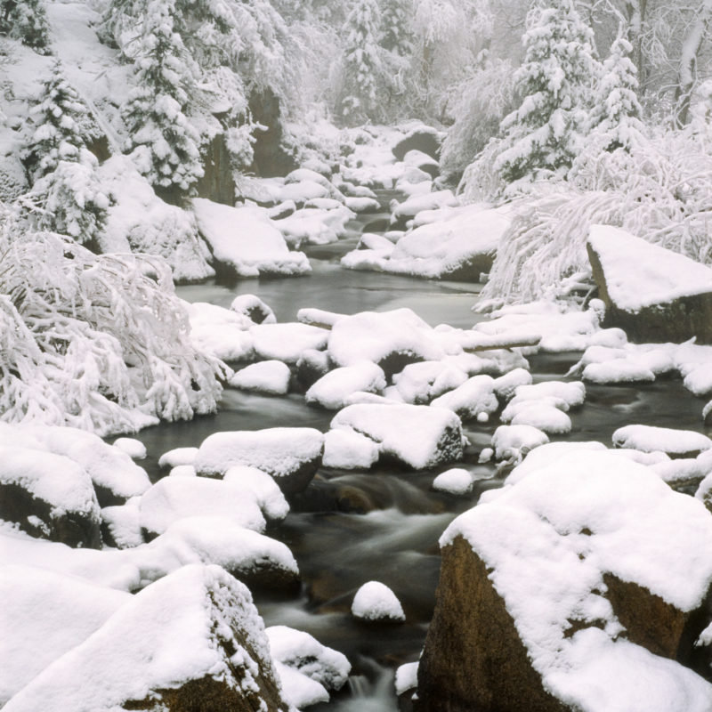 South Saint Vrain in Snow